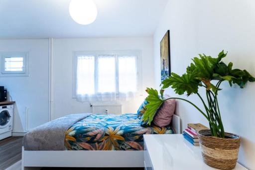 Le Coquet - Balcon - Proche Gare - Parking Apartment Bourg-en-Bresse Exterior photo